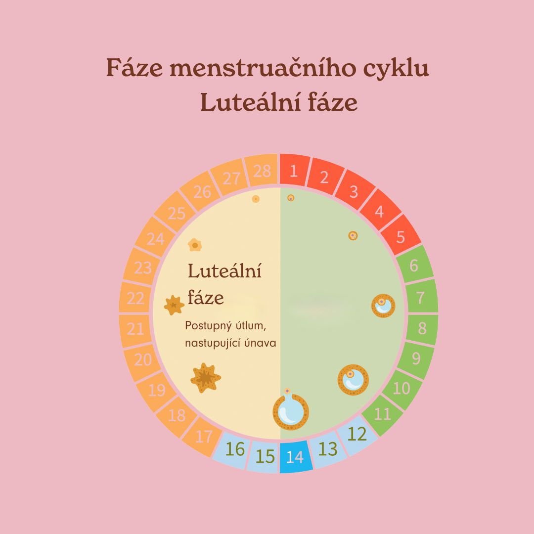 Luteální fáze